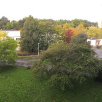 3445_6473417443.jpg