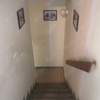 3484_8906101238.jpg