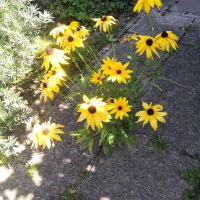 3484_8907137172.jpg