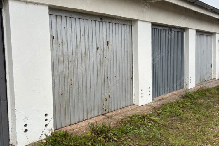 3490_6877124059.jpg